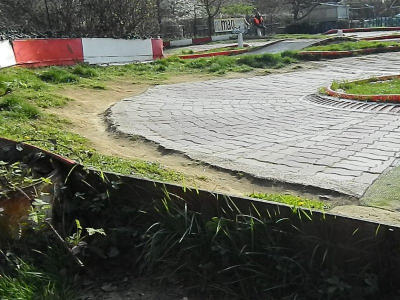 DSCN4313