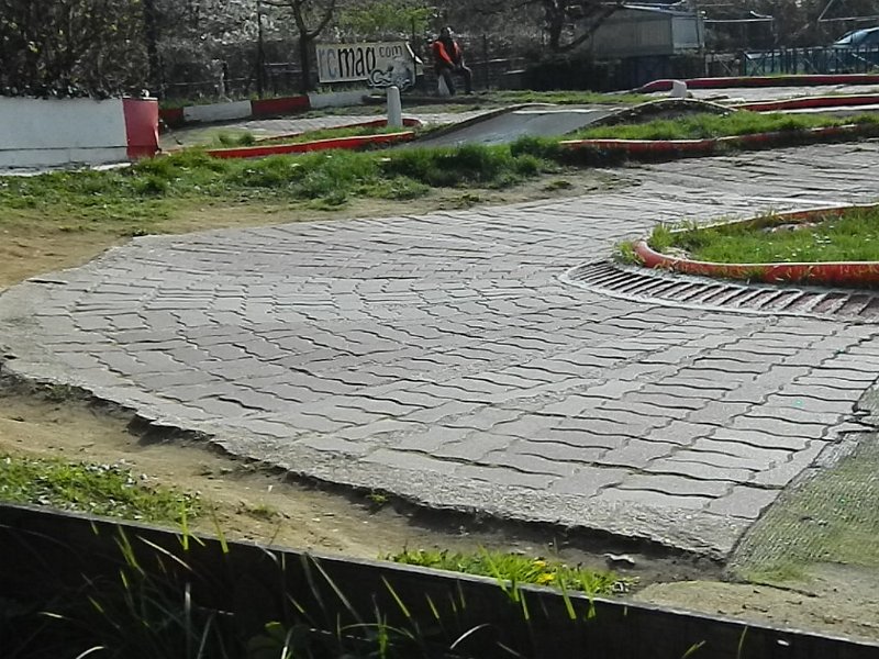 DSCN4413